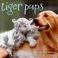 Produktbild: Tiger Pups
