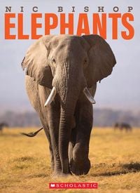 Produktbild: Nic Bishop Elephants