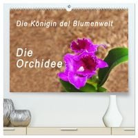 Produktbild: Die K&ouml;nigin der Blumenwelt, die Orchidee (hochwertiger Premium Wandkalender 2026 DIN A2 quer), Kunstdruck in Hochglanz