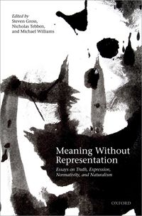 Produktbild: Meaning Without Representation