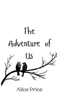 Produktbild: The Adventure of Us