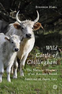 Produktbild: Wild Cattle of Chillingham