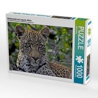 Produktbild: CALVENDO Puzzle Blickkontakt mit Leopard, Afrika | 1000 Teile Lege-Gr&ouml;&szlig;e 64x48cm Foto-Puzzle f&uuml;r gl&uuml;ckliche Stunden