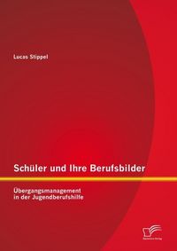 Produktbild: Sch&uuml;ler und Ihre Berufsbilder: &Uuml;bergangsmanagement in der Jugendberufshilfe