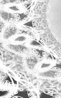 Produktbild: LETTERS To MYSELF JOURNAL - Black and White Wedding Lace