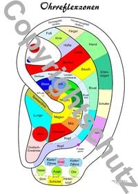 Produktbild: Ohrreflexzonen &Uuml;bersichtskarte