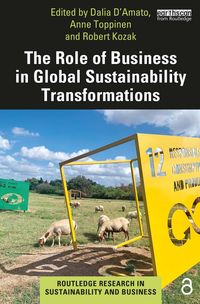 Produktbild: The Role of Business in Global Sustainability Transformations