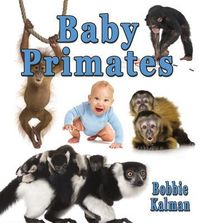 Produktbild: Baby Primates