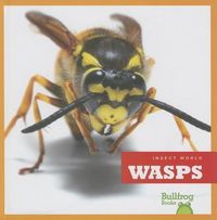 Produktbild: Wasps