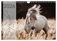 Produktbild: Spiegel deiner Seele (Wandkalender 2026 DIN A4 quer), CALVENDO Monatskalender