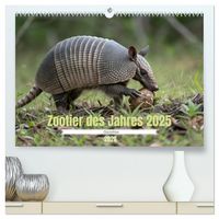 Produktbild: Zootier des Jahres 2025 - G&uuml;rteltier (hochwertiger Premium Wandkalender 2026 DIN A2 quer), Kunstdruck in Hochglanz