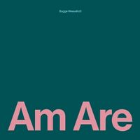 Produktbild: Am Are (Black Vinyl)