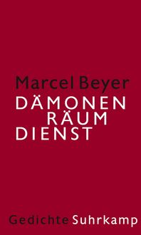 Produktbild: D&auml;monenr&auml;umdienst