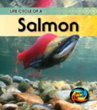 Produktbild: Life Cycle of a Salmon