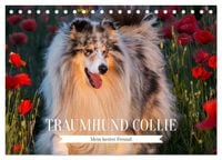 Produktbild: Traumhund Collie - Mein bester Freund (Tischkalender 2027 DIN A5 quer), CALVENDO Monatskalender