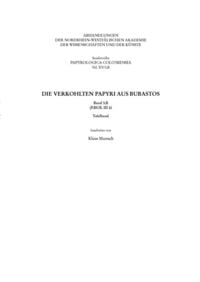 Produktbild: Die verkohlten Papyri aus Bubastos (P.Bub. III 6)
