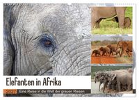 Produktbild: Elefanten in Afrika (Wandkalender 2027 DIN A2 quer), CALVENDO Monatskalender