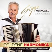 Produktbild: Goldene Harmonika-Instrumental