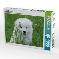 Produktbild: CALVENDO Puzzle Ein Motiv aus dem Kalender Samojeden Welpen | 1000 Teile Lege-Gr&ouml;&szlig;e 64x48cm Foto-Puzzle f&uuml;r gl&uuml;ckliche Stunden