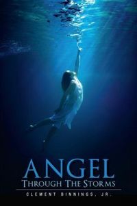 Produktbild: Angel Through the Storms