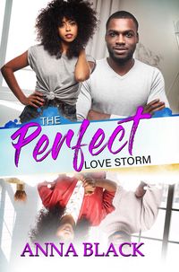 Bild vom Artikel The Perfect Love Storm vom Autor Anna Black