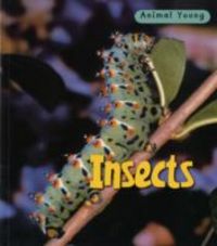 Produktbild: Insects