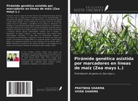 Produktbild: Pir&aacute;mide gen&eacute;tica asistida por marcadores en l&iacute;neas de ma&iacute;z (Zea mays L.)