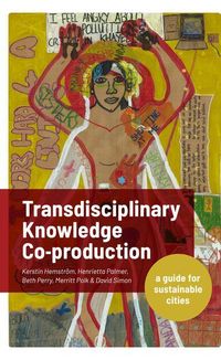 Bild vom Artikel Transdisciplinary Knowledge Co-Production for Sustainable Cities: A Guide for Sustainable Cities vom Autor Kerstin Hemström