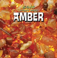 Produktbild: AMBER