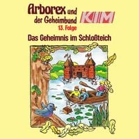 Produktbild: 13: Das Geheimnis im Schlo&szlig;teich