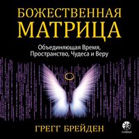 Produktbild: The Divine Matrix