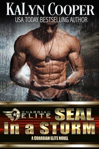 Produktbild: SEAL in a Storm (Silver SEALs, #5)