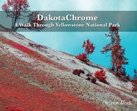 Produktbild: DakotaChrome