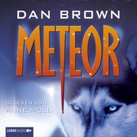 Bild vom Artikel Meteor vom Autor Dan Brown