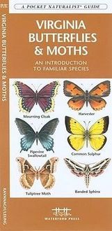 Produktbild: Virginia Butterflies & Moths