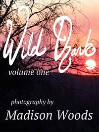 Produktbild: Wild Ozark (Photography, #1)