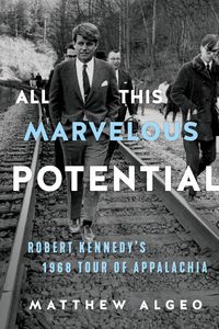 Produktbild: All This Marvelous Potential
