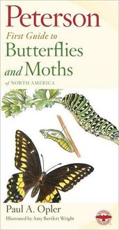Produktbild: Peterson First Guide to Butterflies and Moths