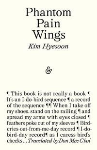 Produktbild: Phantom Pain Wings
