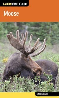 Produktbild: Moose