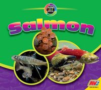 Produktbild: Salmon