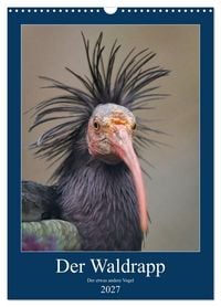 Produktbild: Der Waldrapp - Der etwas andere Vogel (Wandkalender 2027 DIN A3 hoch), CALVENDO Monatskalender