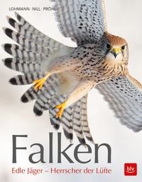 Produktbild: Falken