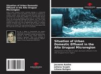 Produktbild: Situation of Urban Domestic Effluent in the Alto Uruguai Microregion