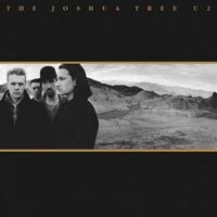 Produktbild: The Joshua Tree (2LP)