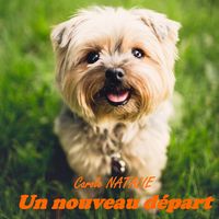 Produktbild: Un nouveau d&eacute;part