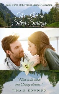 Produktbild: The Inn at Silver Springs