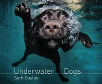 Produktbild: Underwater Dogs