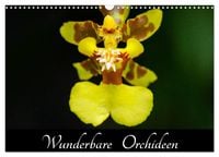 Produktbild: Wunderbare Orchideen (Wandkalender 2027 DIN A3 quer), CALVENDO Monatskalender