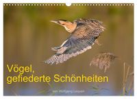 Produktbild: V&ouml;gel, Gefiederte Sch&ouml;nheiten (Wandkalender 2026 DIN A3 quer), CALVENDO Monatskalender